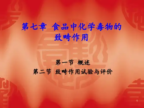 七化学毒物的致畸作用PPT课件