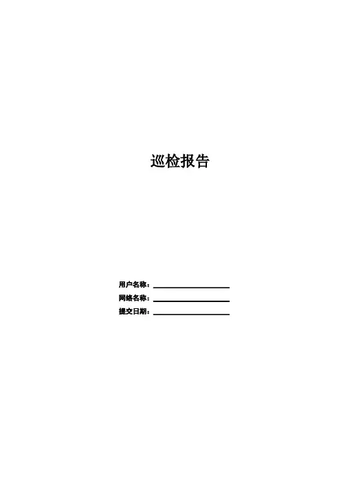 巡检报告(模板)