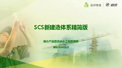 SCS体系-精简版