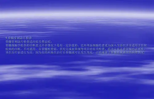 骨髓细胞形态学检查