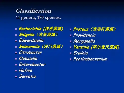 医学微生物学第10章肠杆菌科