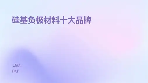 硅基负极材料十大品牌