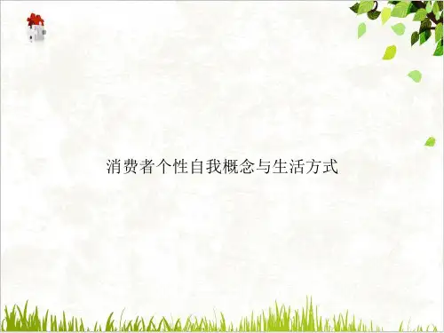 消费者个性自我概念与生活方式PPT.