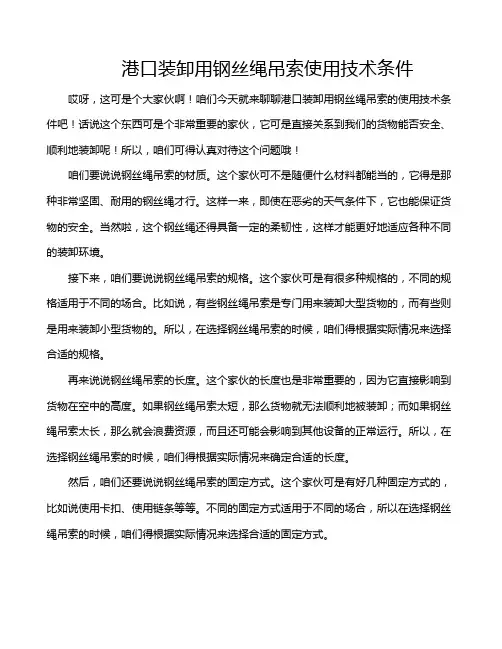 港口装卸用钢丝绳吊索使用技术条件