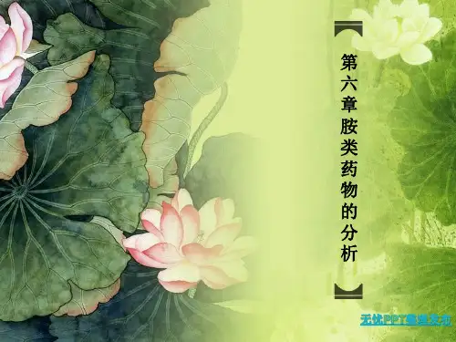 胺类药物的分析