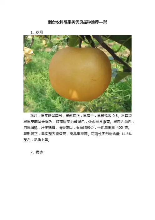 烟台农科院果树优良品种推荐—梨