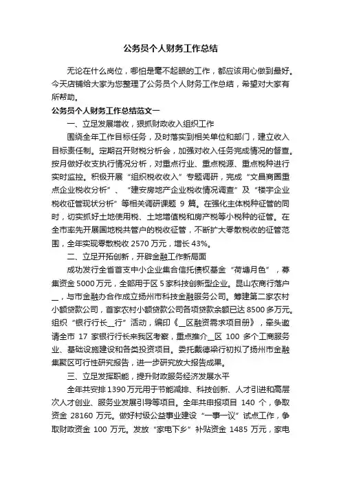 公务员个人财务工作总结
