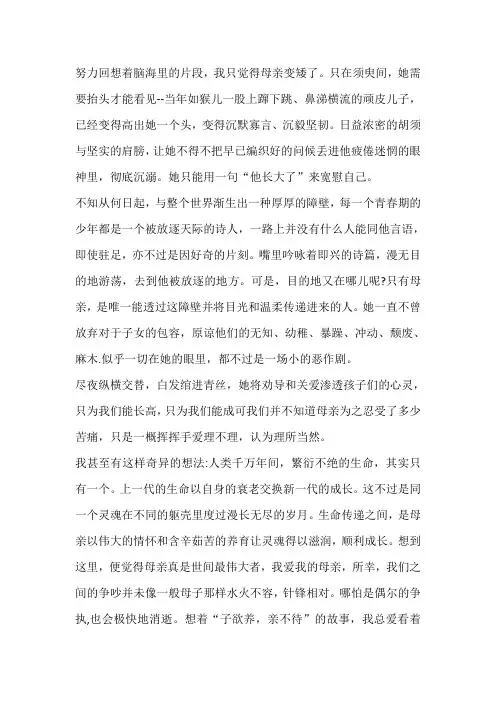 回亿我的母亲片段作文