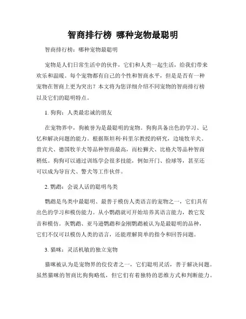 智商排行榜  哪种宠物最聪明