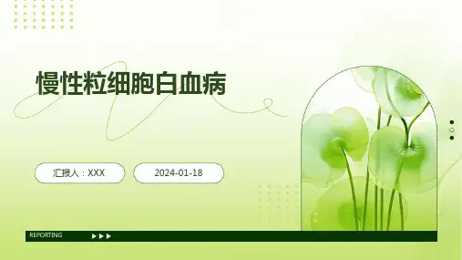 慢性粒细胞白血病汇报ppt课件