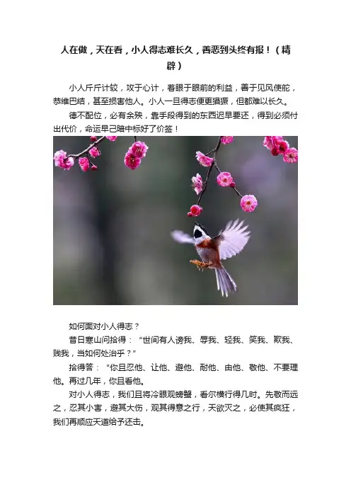 人在做，天在看，小人得志难长久，善恶到头终有报！（精辟）