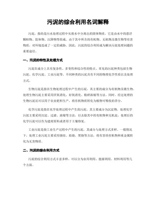 污泥的综合利用名词解释