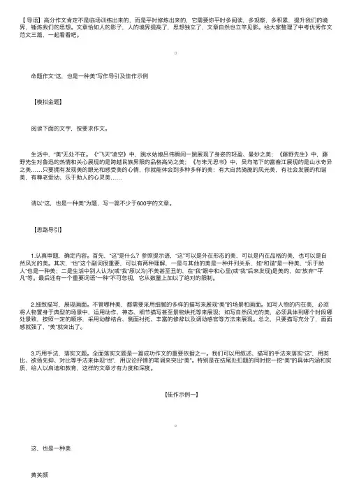 中考优秀作文范文：这，也是一种美