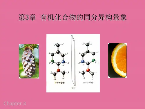 有机化合物的同分异构现象ppt课件