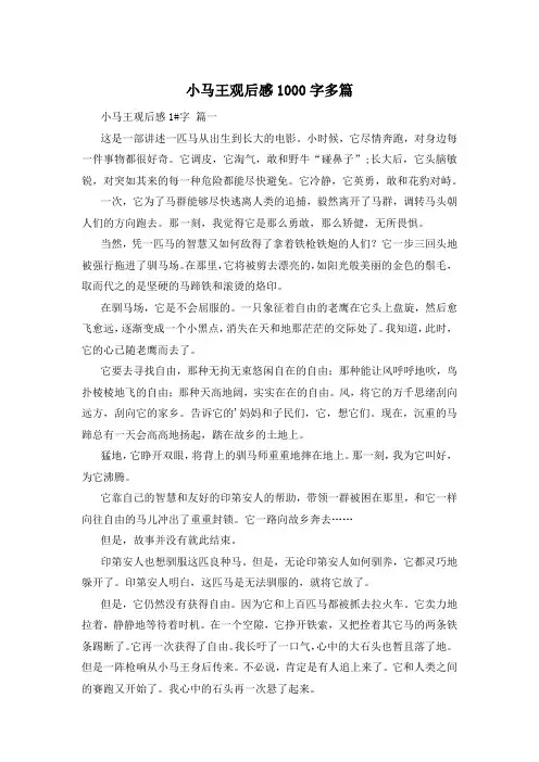 小马王观后感1000字多篇