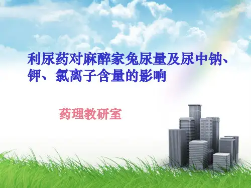 利尿实验(2010)