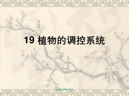 植物的调控系统