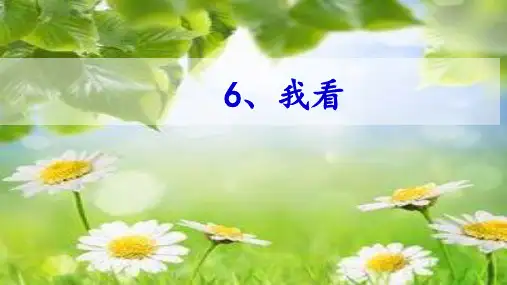 《我看》ppt课件