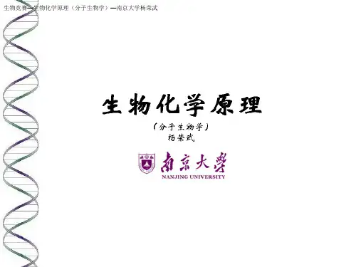 生物竞赛-生物化学-38基因组RNA的复制-杨荣武《生物化学原理(第二版)(三)》(45张PPT)