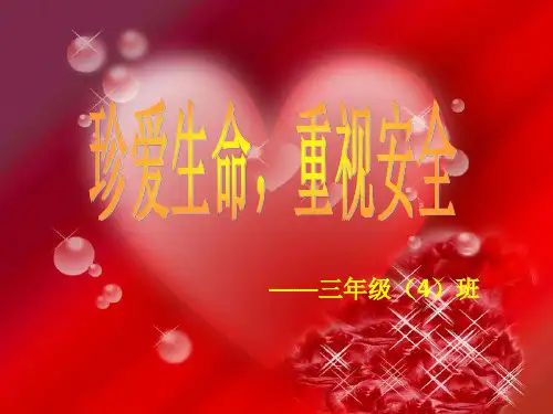 珍爱生命重视安全主题班会公开课ppt课件