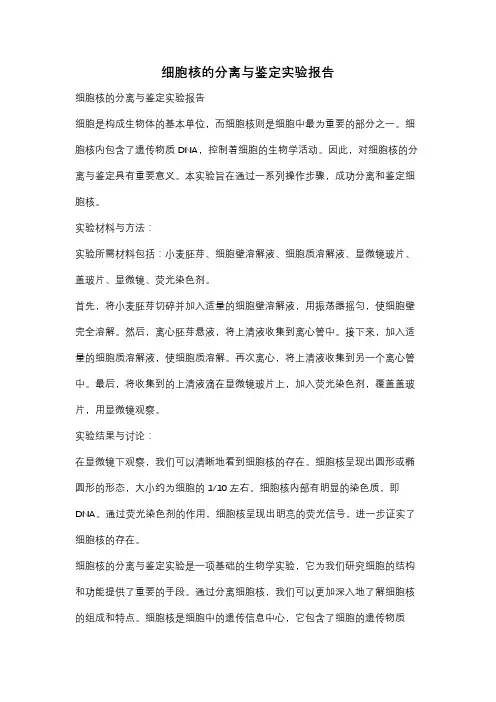 细胞核的分离与鉴定实验报告