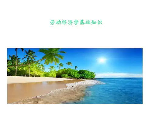 劳动经济学基础知识