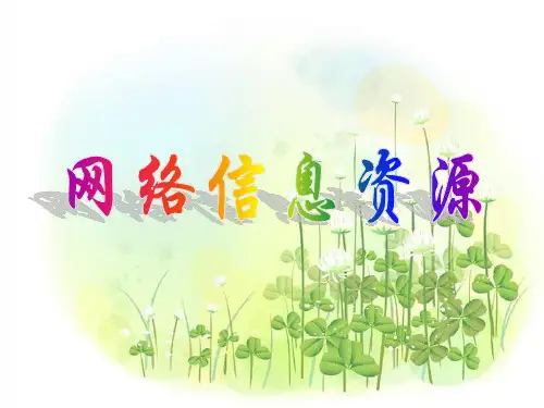 【学习课件】第五章网络信息资源