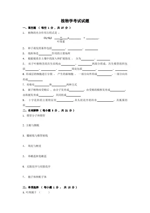 植物学期末考试试题