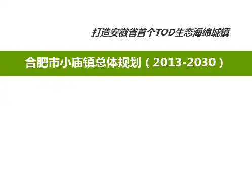 合肥市小庙镇总体规划(2013-2030)报奖