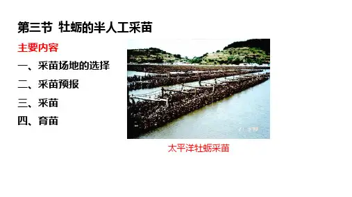 海水贝类增养殖学31