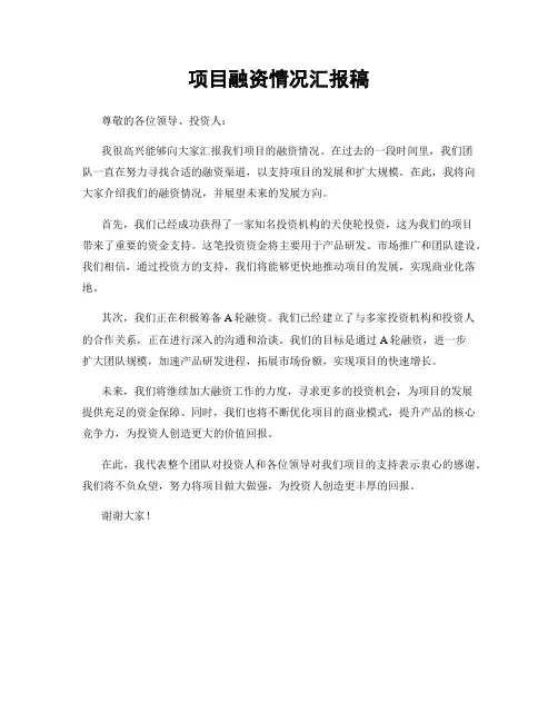 项目融资情况汇报稿