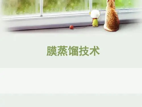 膜蒸馏技术PPT课件