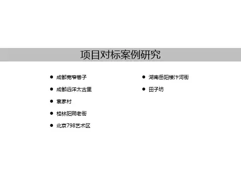 中国传统老街案例分析成都太古里 宽窄巷子ppt课件