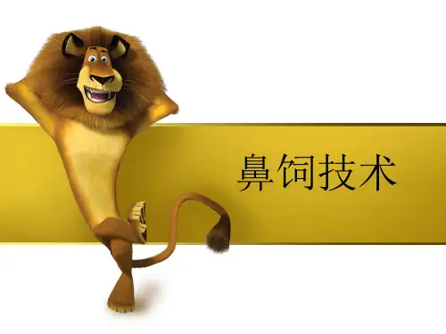 鼻饲技术及护理 PPT课件