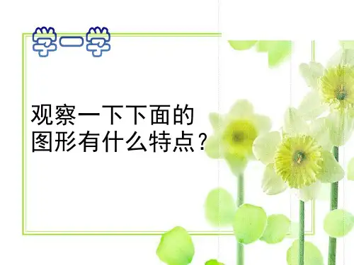 人教版五年级上册美术《美丽的纹样》课件