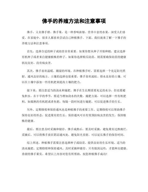 佛手的养殖方法和注意事项