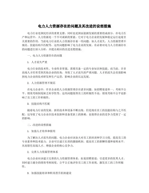 电力人力资源存在的问题及其改进的设想措施