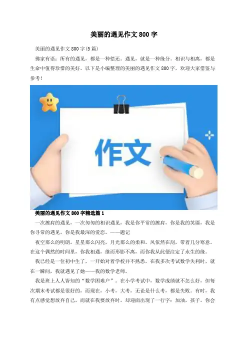 美丽的遇见作文800字