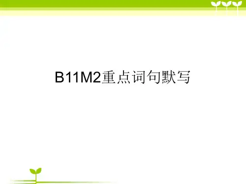 外研版英语六年级上册Module 2《Unit 1 I went to Chinatown in N