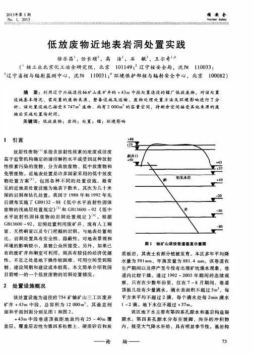 低放废物近地表岩洞处置实践