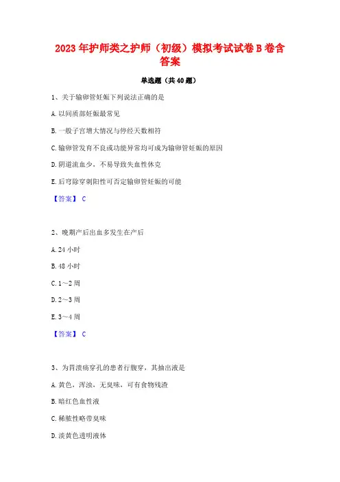 2023年护师类之护师(初级)模拟考试试卷B卷含答案