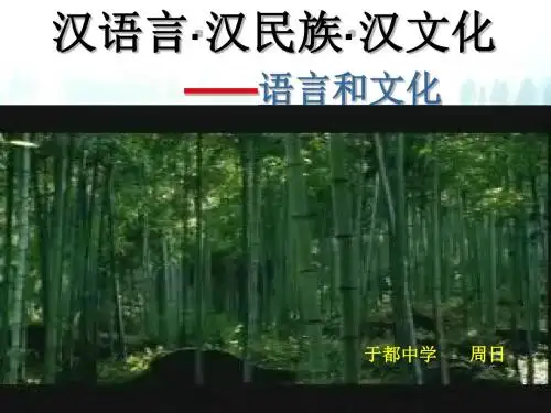 入乡问俗——语言和文化ppt10 人教课标版