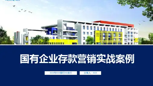 国有企业存款营销实战案例文案完整辅导PPT演示资料