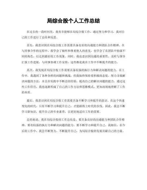局综合股个人工作总结