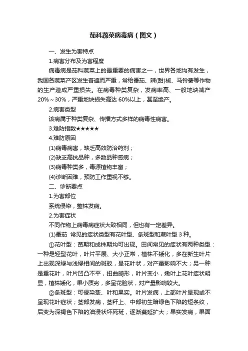 茄科蔬菜病毒病（图文）