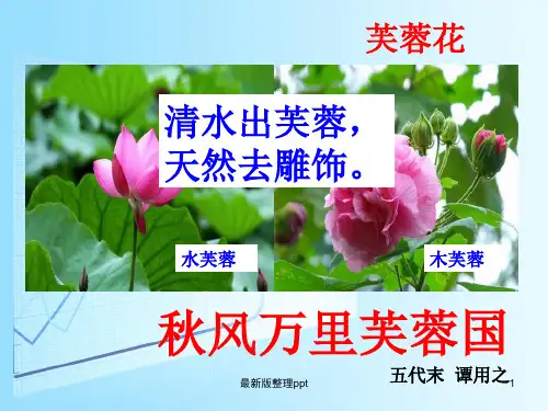 涉江采芙蓉 公开课 一等奖ppt课件