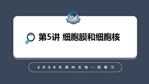 人教版生物一轮复习第五讲 细胞膜和细胞核(33张PPT)