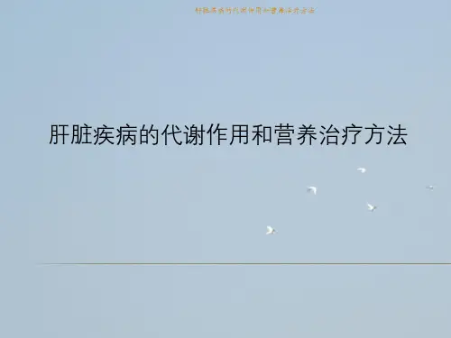 肝脏疾病代谢作用与营养治疗方法