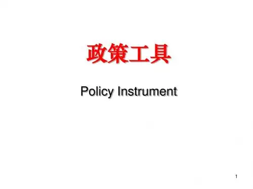 公共政策分析(政策工具)