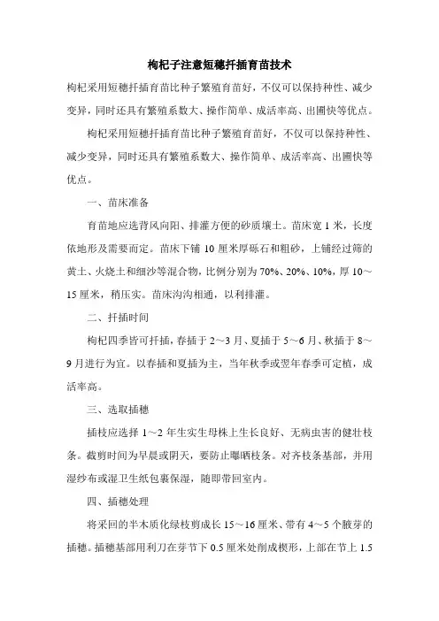 枸杞子注意短穗扦插育苗技术